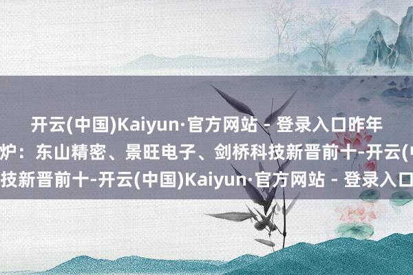 开云(中国)Kaiyun·官方网站 - 登录入口昨年公募冠军基最新重仓股出炉：东山精密、景旺电子、剑桥科技新晋前十-开云(中国)Kaiyun·官方网站 - 登录入口