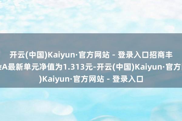 开云(中国)Kaiyun·官方网站 - 登录入口招商丰盛褂讪增长夹杂A最新单元净值为1.313元-开云(中国)Kaiyun·官方网站 - 登录入口