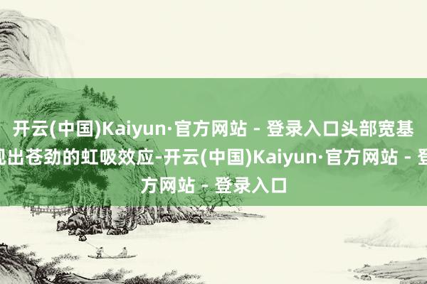 开云(中国)Kaiyun·官方网站 - 登录入口头部宽基ETF展现出苍劲的虹吸效应-开云(中国)Kaiyun·官方网站 - 登录入口